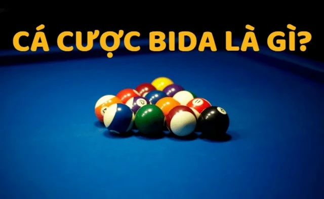 Cá cược bida là gì?