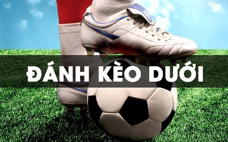 Tìm hiểu về kèo dưới 12bet