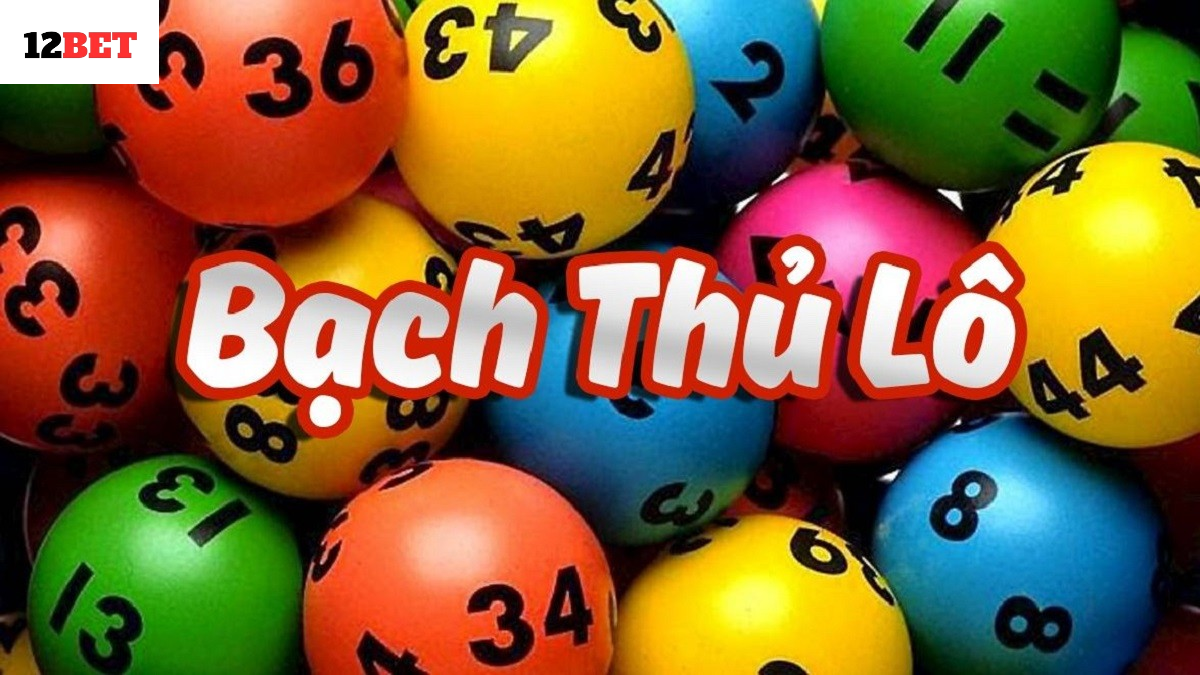 Bạch thủ lô là gì?